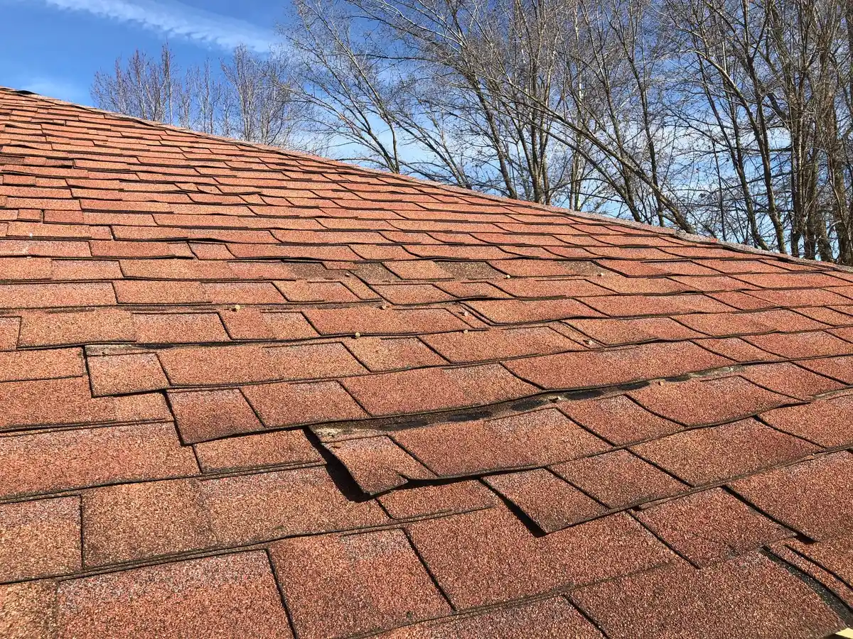 Curled Shingles